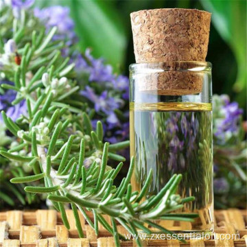 Pure essential rosemary oil bulk